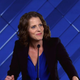 DNC Speech: Clinton Campaign Thanks Volunteers For Killing Millions Of Gnats In Hillary’s Bus